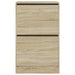 Pantofar, stejar sonoma, 60x34x96,5 cm, lemn compozit - WALTI WALTI