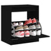 Pantofar, negru, 60x42x69 cm, lemn compozit - WALTI WALTI