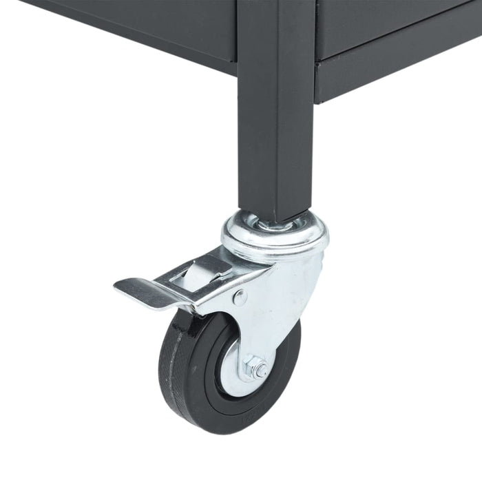 Grătar pe gaz cu 4 arzătoare, negru, oțel vopsit electrostatic - WALTI WALTI