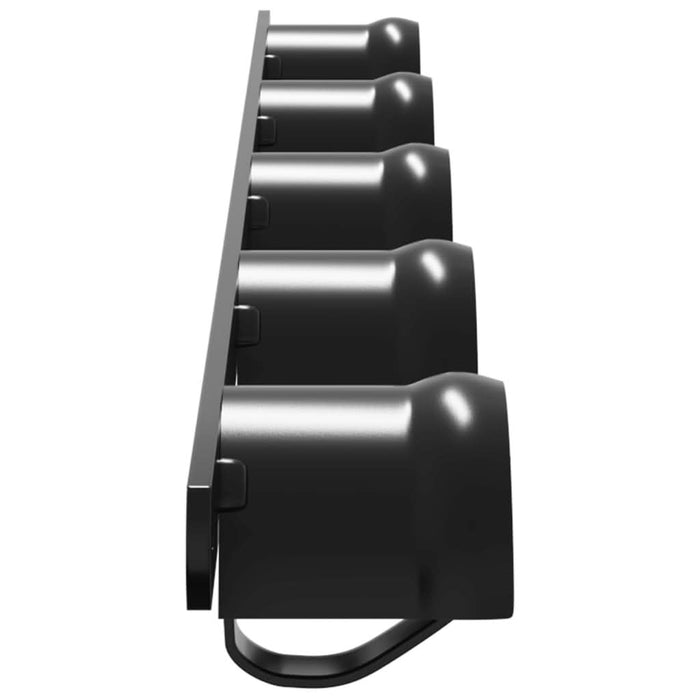 Cuier pentru 5 căpestre, 5 cârlige, negru, fier WALTI