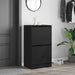 Dulap de pantofi cu 2 sertare rabatabile, negru, 60x42x108 cm - WALTI WALTI