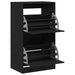 Dulap de pantofi cu 2 sertare rabatabile, negru, 60x42x108 cm - WALTI WALTI