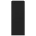Dulap de pantofi cu 2 sertare rabatabile, negru, 60x42x108 cm - WALTI WALTI
