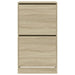 Pantofar cu 2 sertare rabatabile, stejar sonoma, 60x42x108 cm - WALTI WALTI
