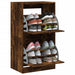 Pantofar cu 2 sertare rabatabile, stejar fumuriu, 60x42x108 cm - WALTI WALTI