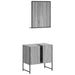 Set dulapuri Baie, 2 piese, gri sonoma, lemn prelucrat - WALTI WALTI