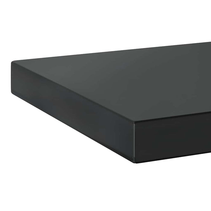 Rafturi de perete, 2 buc. 75x23,5 cm negru oțel inoxidabil - WALTI WALTI