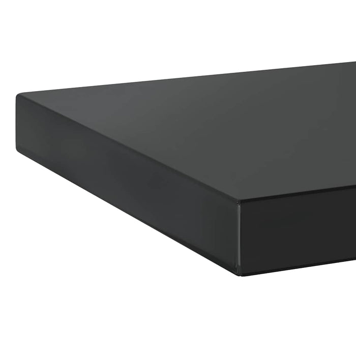 Rafturi de perete, 2 buc., 50x23,5 cm, negru oțel inoxidabil - WALTI WALTI