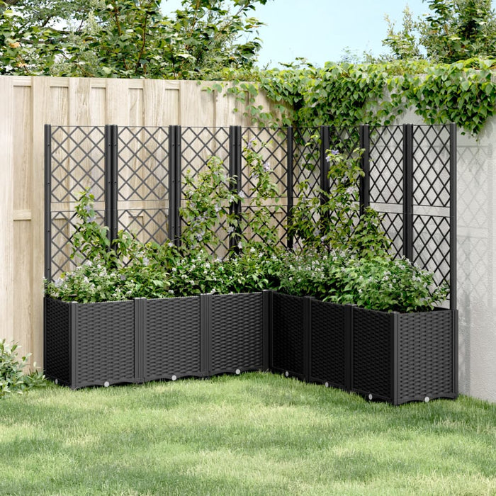 Jardinieră de grădină cu spalier, negru, 160x160x140 cm, PP - WALTI WALTI