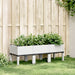 Jardinieră de grădină cu picioare, alb, 120x40x42 cm, PP - WALTI WALTI
