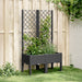Jardinieră de grădină cu spalier, negru, 80x40x142 cm, PP - WALTI WALTI