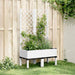 Jardinieră de grădină cu spalier, alb, 80x40x142 cm, PP - WALTI WALTI