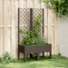 Jardinieră de grădină cu spalier, maro, 80x40x142 cm, PP - WALTI WALTI