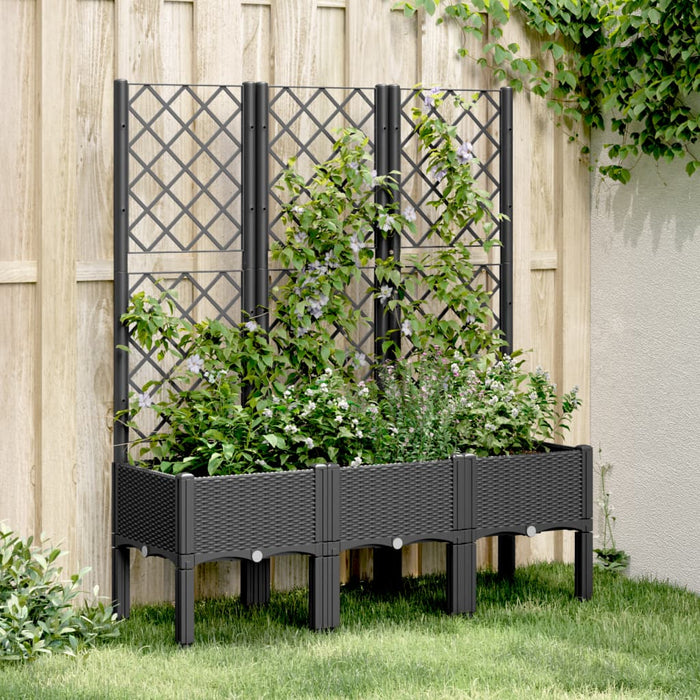 Jardinieră de grădină cu spalier, negru, 120x40x142 cm, PP - WALTI WALTI