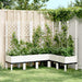 Jardinieră de grădină cu spalier, alb, 160x120x142 cm PP - WALTI WALTI
