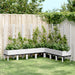 Jardinieră de grădină cu spalier, alb, 200x160x142 cm PP - WALTI WALTI