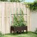 Jardinieră de grădină cu spalier, maro, 80x40x142,5 cm, PP - WALTI WALTI