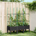 Jardinieră de grădină cu spalier, negru, 120x40x142,5 cm, PP - WALTI WALTI