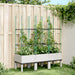 Jardinieră de grădină cu spalier, alb, 120x40x142,5 cm PP - WALTI WALTI
