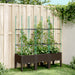 Jardinieră de grădină cu spalier, maro, 120x40x142,5 cm, PP - WALTI WALTI