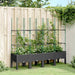 Jardinieră de grădină cu spalier, negru, 160x40x142,5 cm, PP - WALTI WALTI