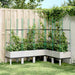 Jardinieră de grădină cu spalier, alb, 160x120x142,5 cm PP - WALTI WALTI