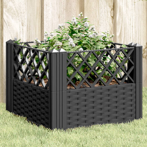 Jardinieră de grădină cu spalier, negru, 43,5x43,5x43,5 cm, PP - WALTI WALTI