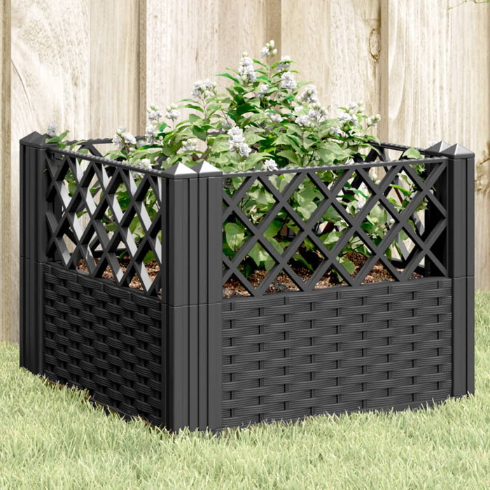 Jardinieră de grădină cu spalier, negru, 43,5x43,5x43,5 cm, PP - WALTI WALTI