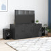 Comodă TV, negru, 99x39x44 cm, oțel - WALTI WALTI