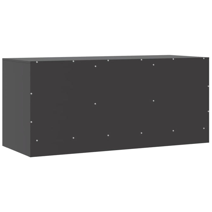 Comodă TV, negru, 99x39x44 cm, oțel - WALTI WALTI