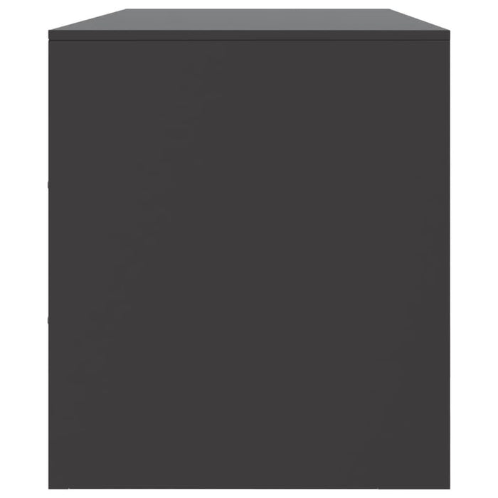 Comodă TV, negru, 99x39x44 cm, oțel - WALTI WALTI