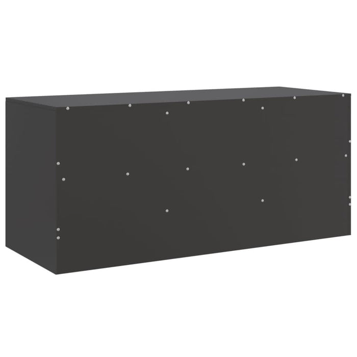 Comodă TV, negru, 99x39x44 cm, oțel - WALTI WALTI