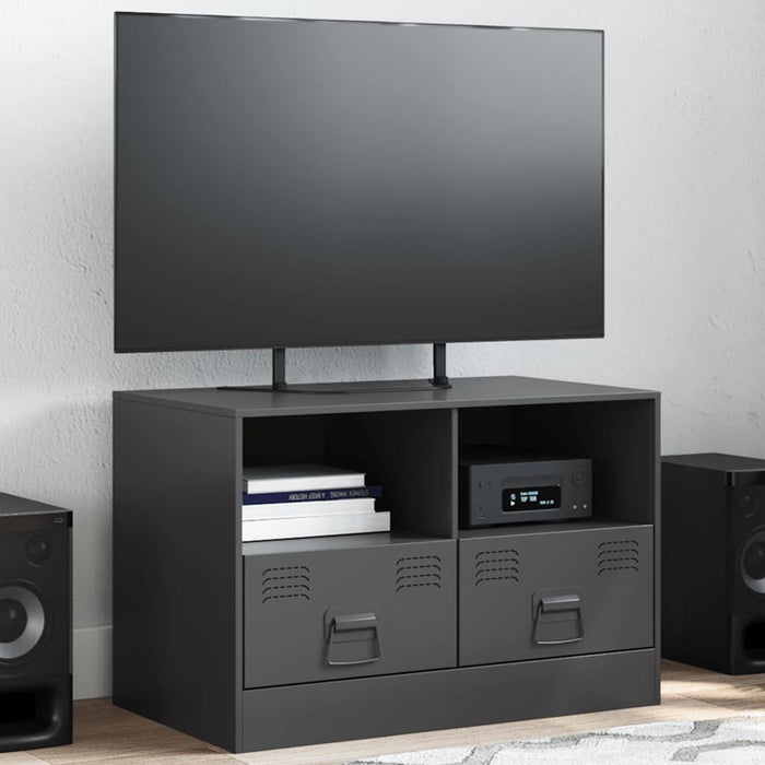 Dulap TV, negru, 67x39x44 cm, oțel - WALTI WALTI