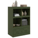 Dulap înalt verde măslină 67x39x95 cm oțel - WALTI WALTI