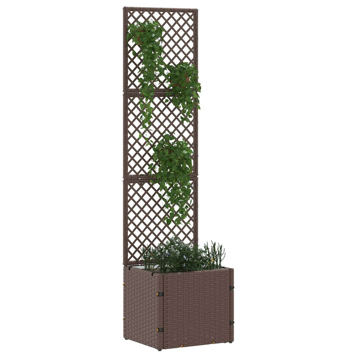 Suport pentru plante cu gard Maro 35 x 30 x 135 cm Metal WALTI