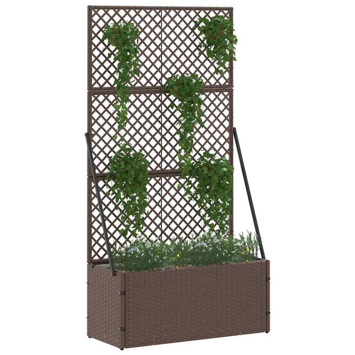 Suport pentru plante cu gard Maro 70 x 30 x 135 cm Metal WALTI