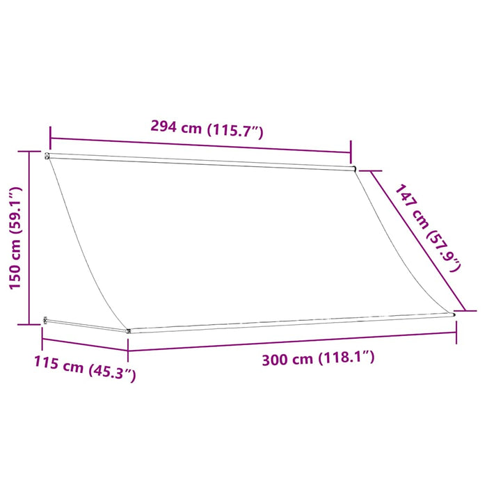 Copertină retractabilă, antracit, 300x150 cm, textil și oțel - WALTI WALTI