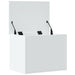 Cutie de depozitare, alb, 60x42x46 cm, lemn prelucrat - WALTI WALTI