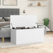 Cutie de depozitare, alb, 100x42x46 cm, lemn prelucrat - WALTI WALTI