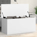 Cutie de depozitare, alb, 100x42x46 cm, lemn prelucrat - WALTI WALTI