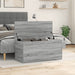 Cutie de depozitare, gri sonoma, 100x42x46 cm, lemn prelucrat - WALTI WALTI
