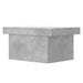 Măsuță de cafea, gri beton, 100x55x40 cm, lemn prelucrat - WALTI WALTI