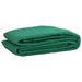 Plasă de remorcă, verde, 3x5 m, HDPE - WALTI WALTI