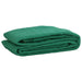 Plasă de remorcă, verde, 3x6 m, HDPE - WALTI WALTI