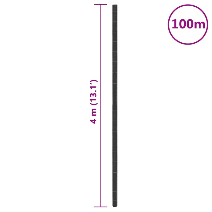 Membrană antiburuieni, negru, 4x100 m, PP - WALTI WALTI