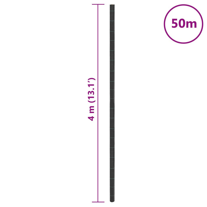 Membrană antiburuieni, negru, 4x50 m, PP - WALTI WALTI