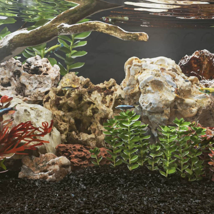 Pietre dragon, 10 kg, maro, 5-30 cm - WALTI WALTI