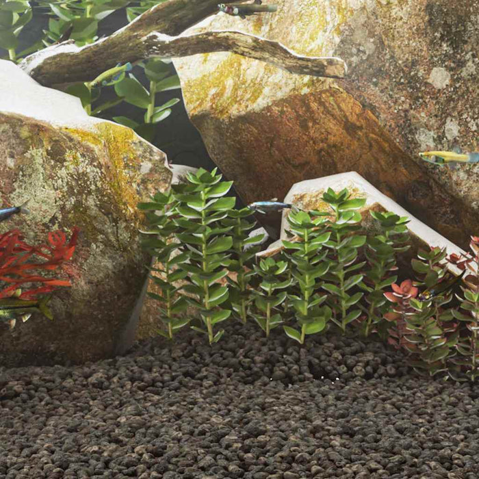 Roci vulcanice, 10 kg, negru, 1-2 cm - WALTI WALTI