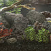 Roci vulcanice, 25 kg, negru, 10-30 cm - WALTI WALTI