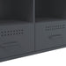 Dulap TV, antracit, 100,5x39x50,5 cm, oțel laminat la rece - WALTI WALTI